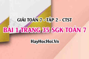 Giải bài 1 trang 35 Toán 7 Tập 2 SGK Chân trời sáng tạo